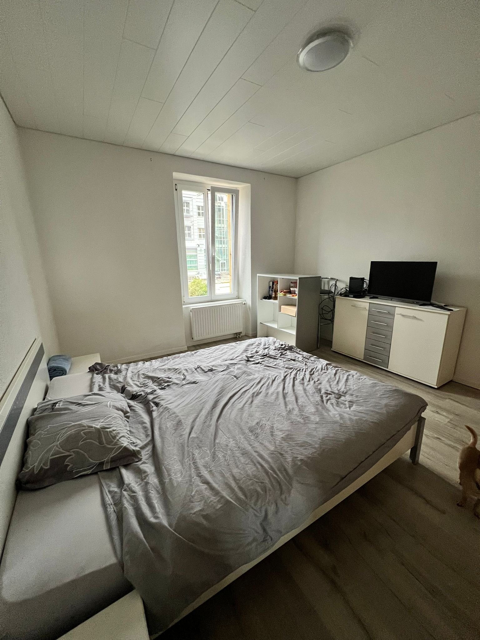 PHOTO-2025-01-26-22-40-50 2